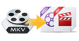 Convert MKV to AVI
