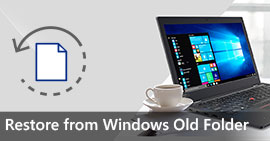 Restore from Windows.old Folder